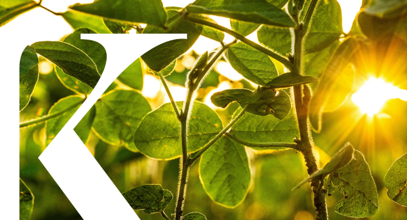 20260318_CP_Kea x Shift 20260318_CP_Kea x Shift