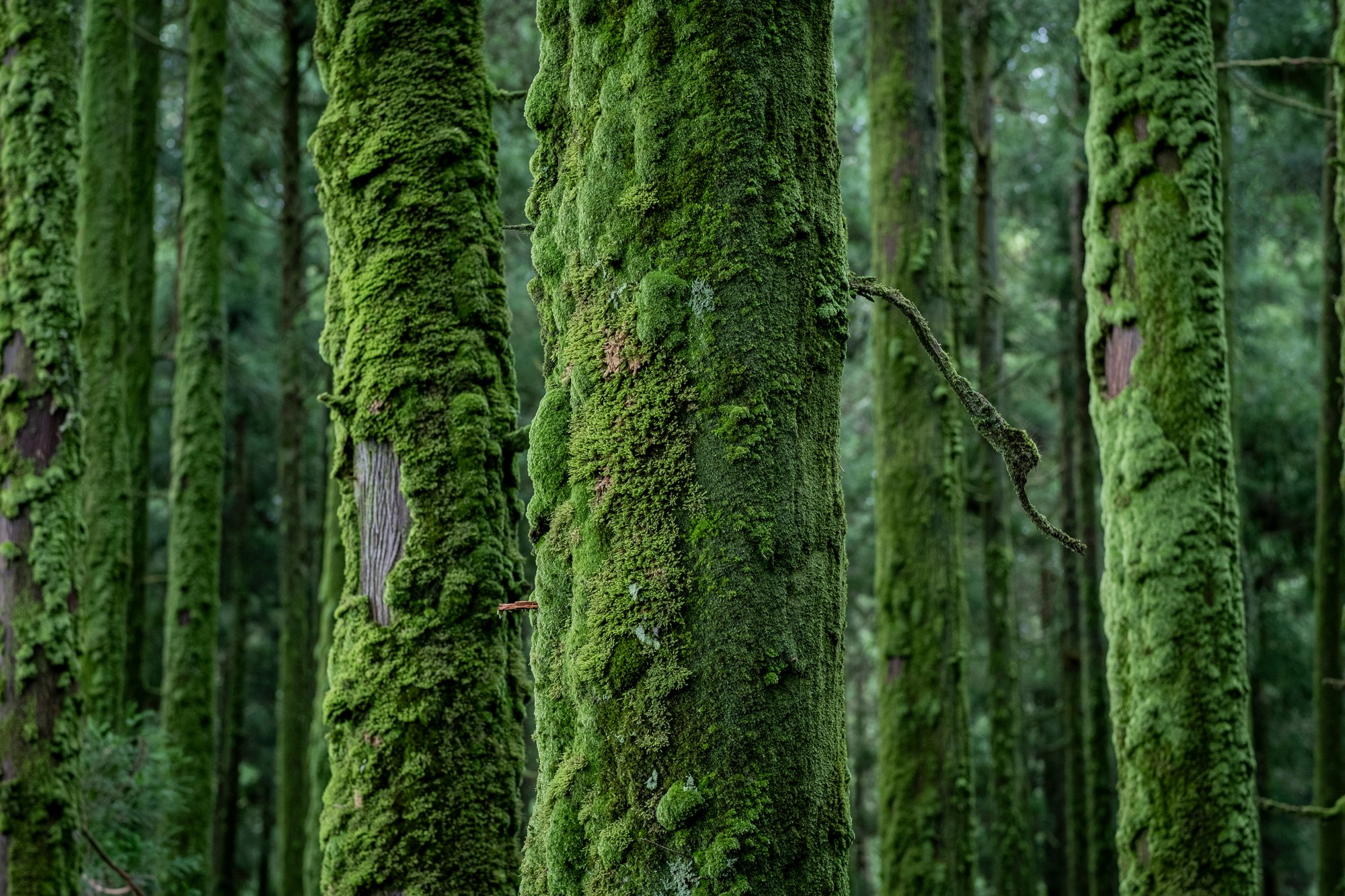 iStock-2192507848 iStock-2192507848