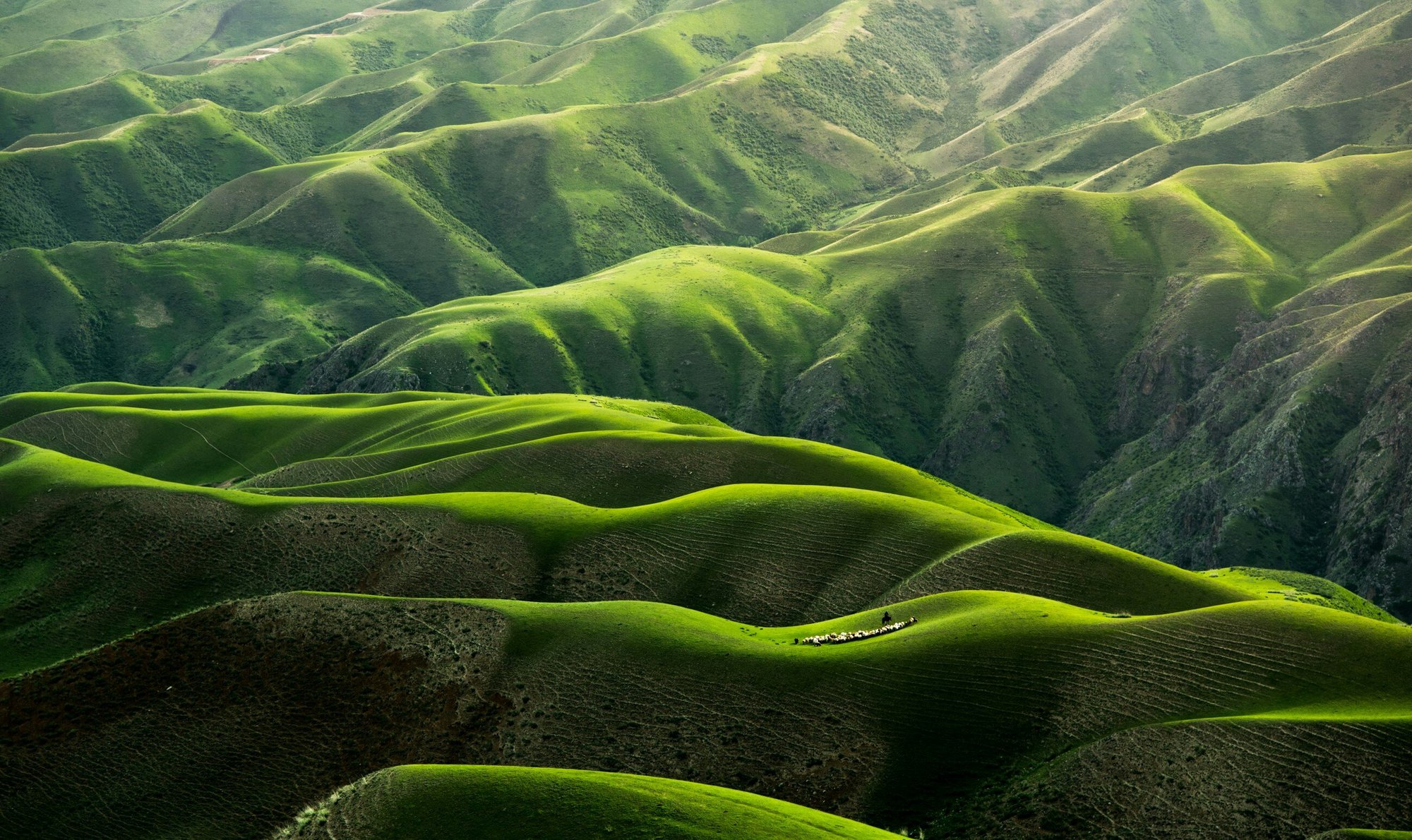 qingbao-meng-01_igFr7hd4-unsplash qingbao-meng-01_igFr7hd4-unsplash